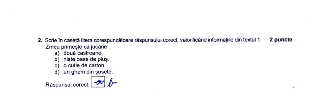 Model corectare grila Evaluarea Națională - Limba și Literatura Română. Sfaturi utile pentru examenul de Evaluare Națională.