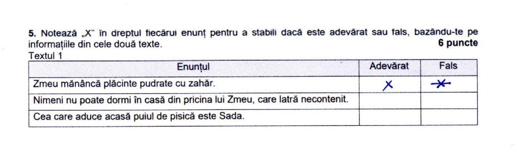 Model corectare grila Evaluarea Națională - Limba și Literatura Română. Sfaturi utile pentru examenul de Evaluare Națională.