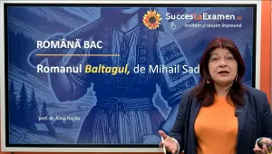 ROMÂNĂ BAC 2027. Pregătire completă cu prof. dr. Alina Nicola